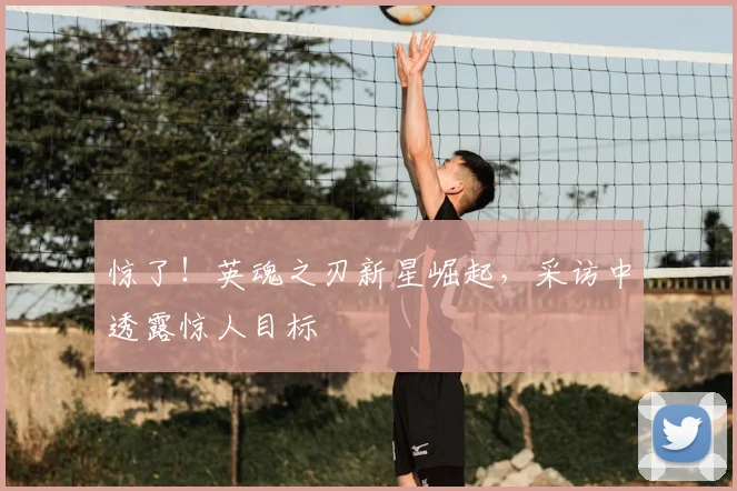惊了！英魂之刃新星崛起，采访中透露惊人目标